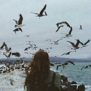 Meet your Posher, Kay